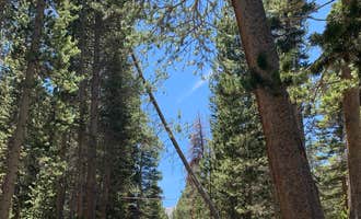 Camping near Tuff Campground: Pine Grove Campground, Swall Meadows, California
