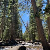 Review photo of Pine Grove Campground by AngelBoo -., July 8, 2021