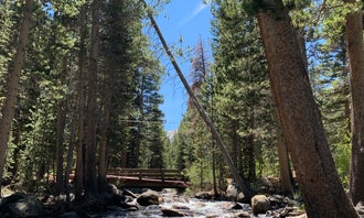 Camping near Palisade Group Campground: Pine Grove Campground, Swall Meadows, California