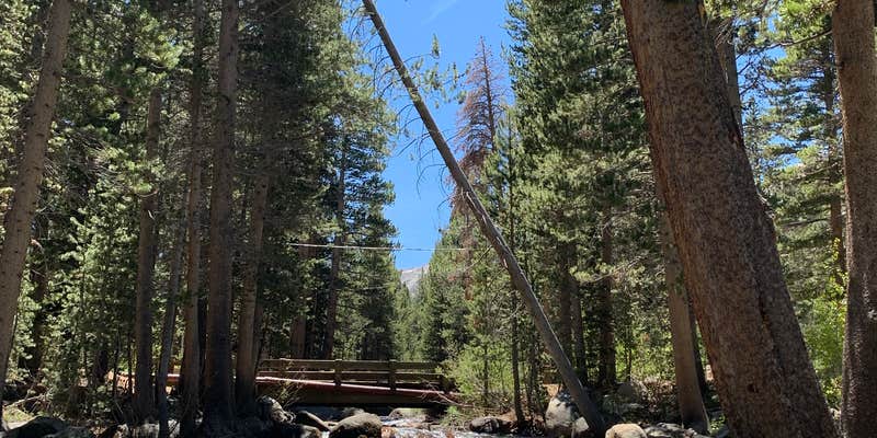 Camper submitted image from Pine Grove Campground