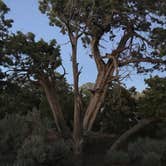 Review photo of Navajo National Monument Sunset View Campground by Jayne  W., June 13, 2018