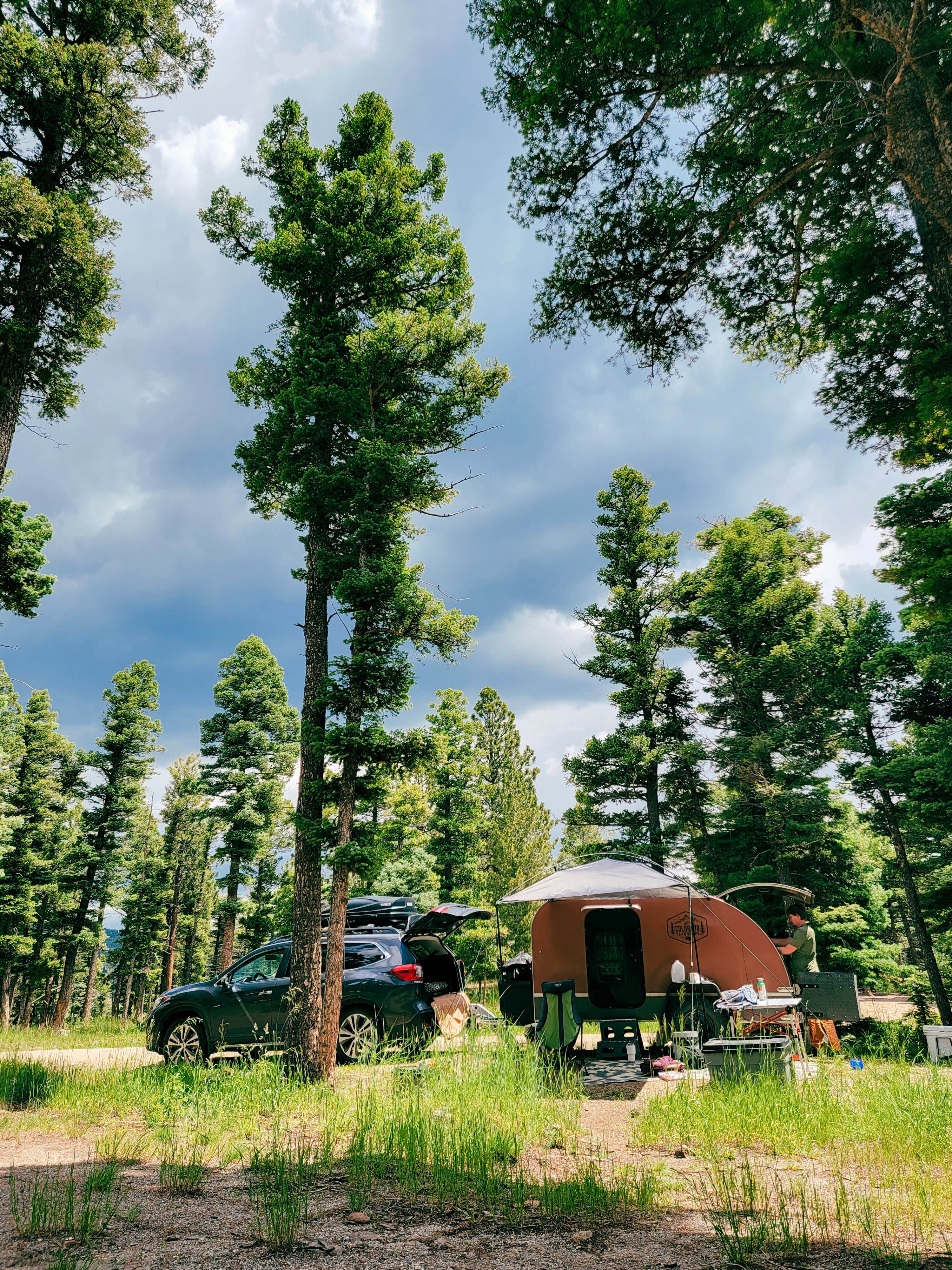 Escape to the Wild: Your Guide to Colorado's Cimarron Campground