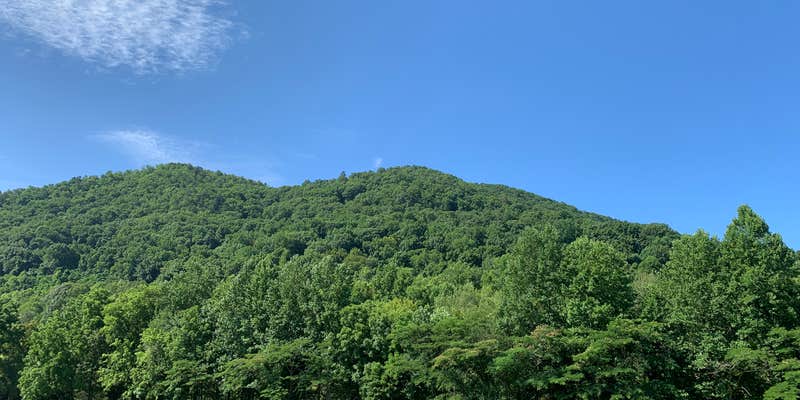 Camper submitted image from Whispering River RV Resort