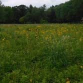 Review photo of Perrot State Park Campground by Debra M., July 8, 2021