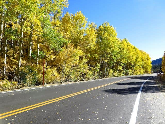 Camper-submitted photo at Pine Grove Campground near Mono Hot Springs, CA