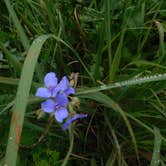 Review photo of Perrot State Park Campground by Debra M., July 8, 2021