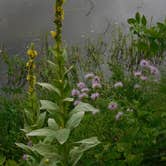 Review photo of Perrot State Park Campground by Debra M., July 8, 2021