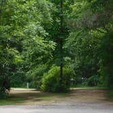 Review photo of Perrot State Park Campground by Debra M., July 8, 2021