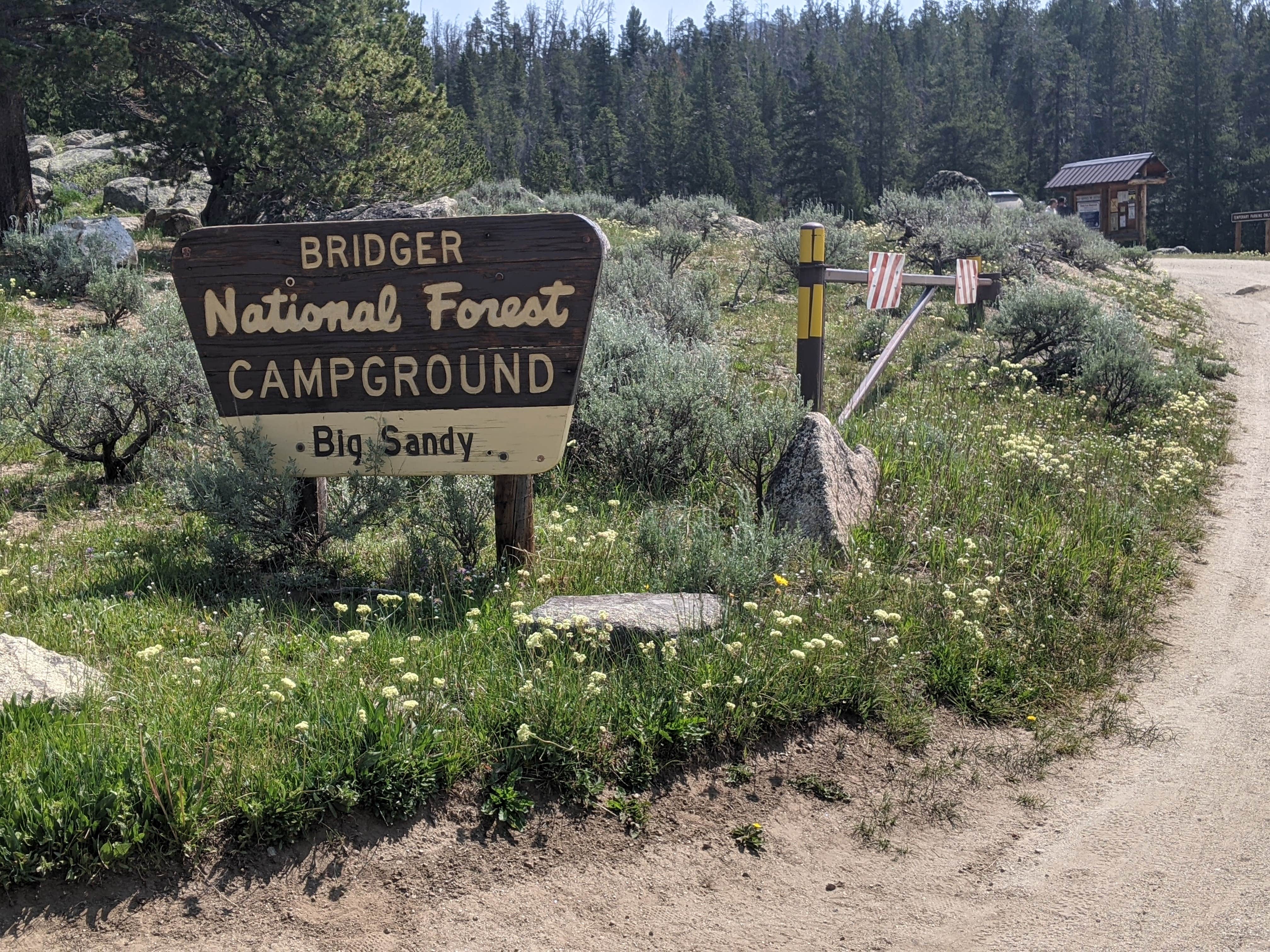 Camper submitted image from Big Sandy Campground — Bridger Teton National Forest - 1