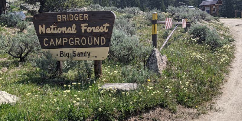 Camper submitted image from Big Sandy Campground — Bridger Teton National Forest