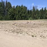 Review photo of Dutch Joe Guard Station Campground by Greg L., July 8, 2021