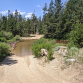 Review photo of Dutch Joe Guard Station Campground by Greg L., July 8, 2021