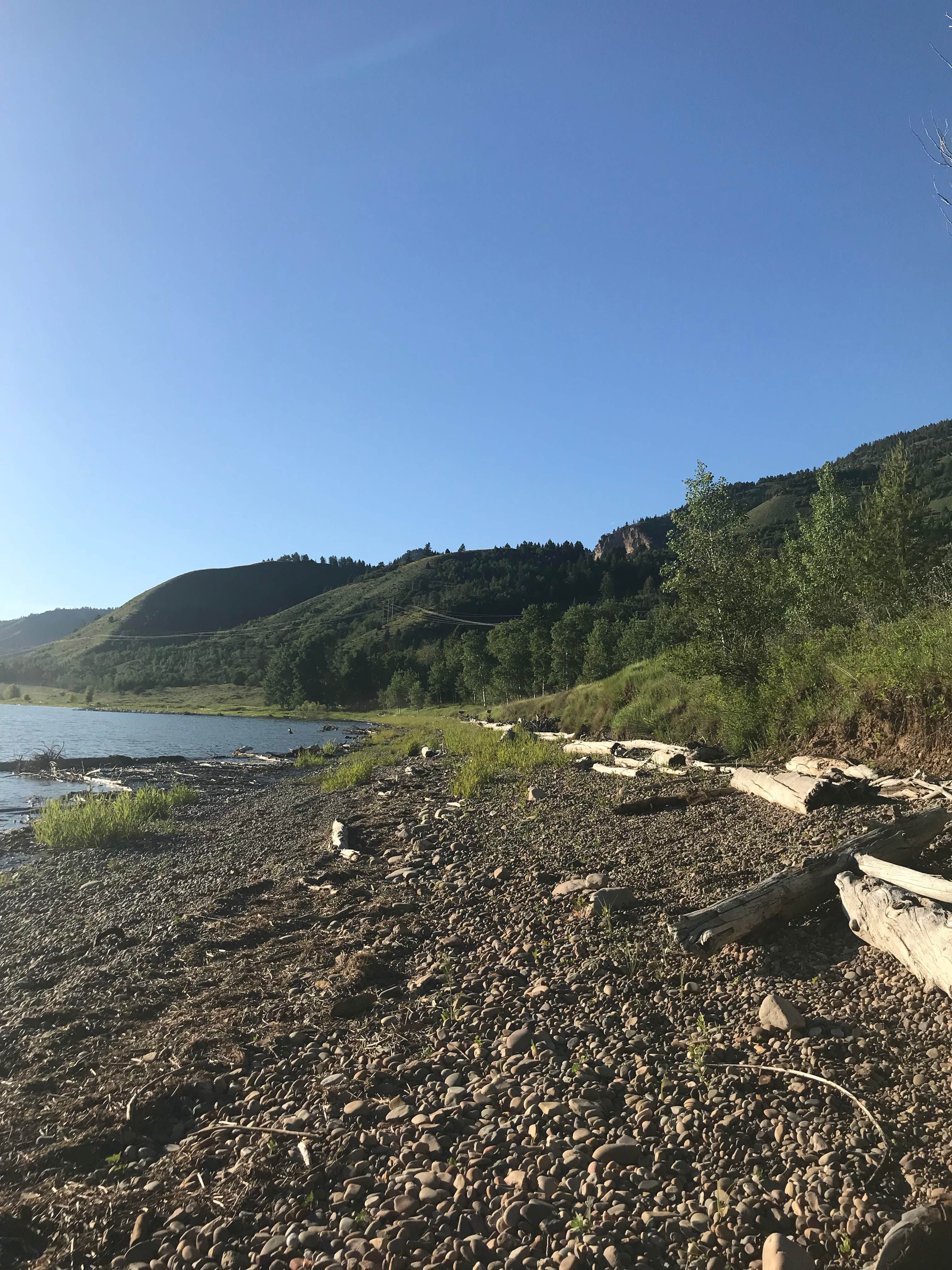 Camper submitted image from Alpine North Loop Campground - 4
