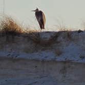 Review photo of Fort Pickens Campground — Gulf Islands National Seashore by Thunderroad 5., July 8, 2021