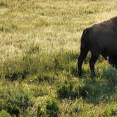 Review photo of Yellowstone Park / West Gate KOA Holiday by Jon B., July 8, 2021