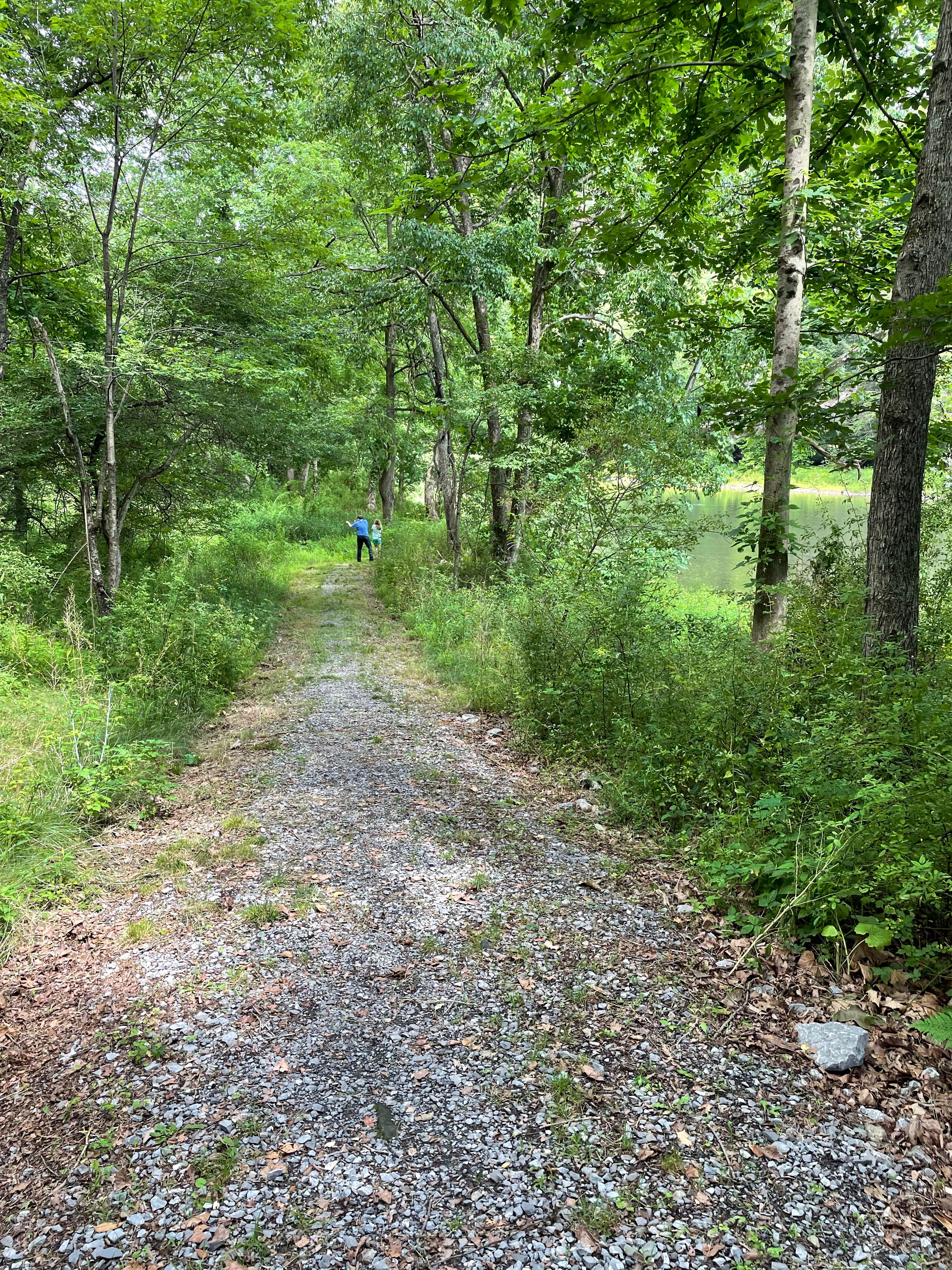 Camper-submitted photo at Hicks Run near North Bend, PA