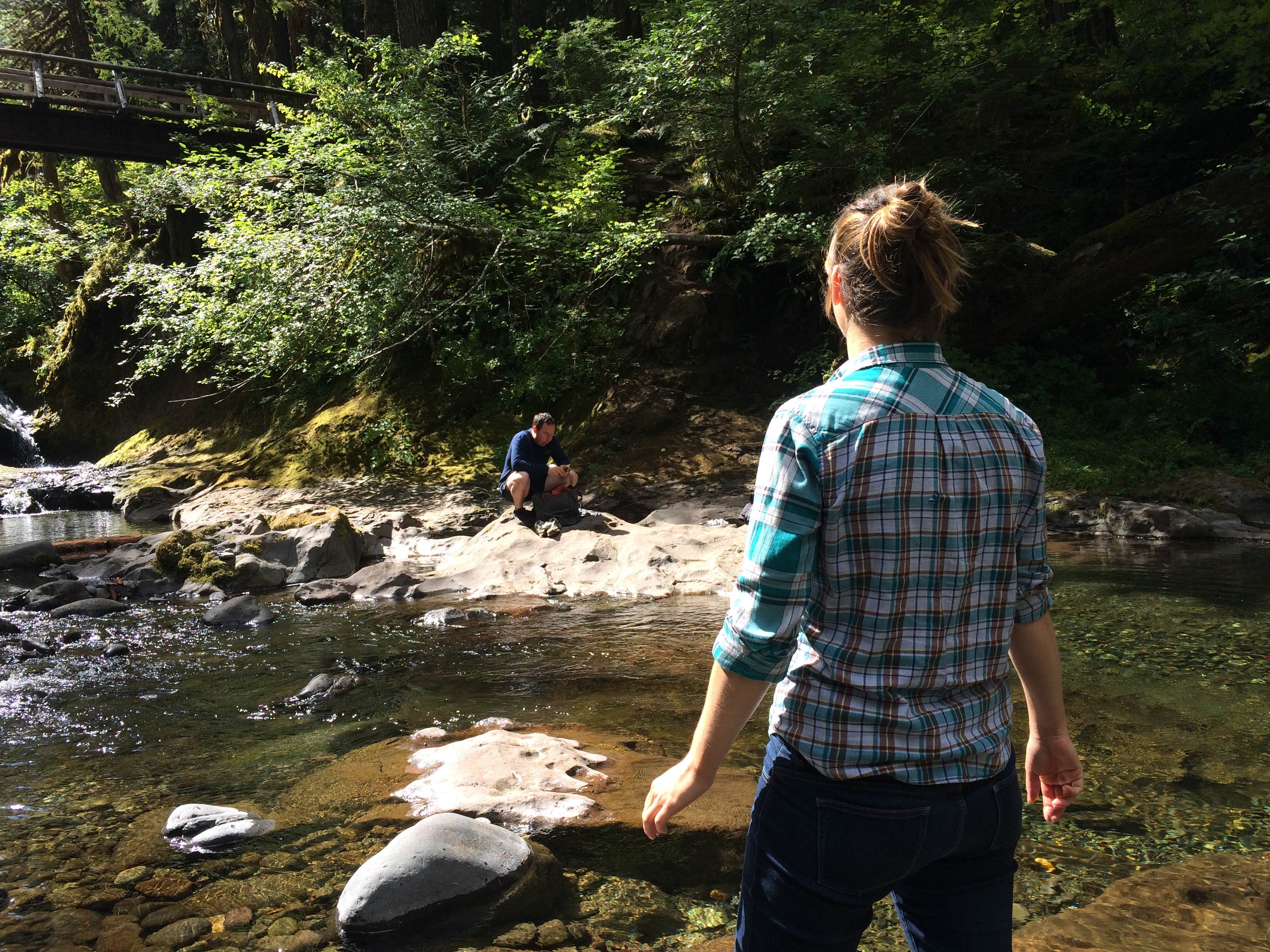 Camping near Black Canyon Campground - Willamette NF: Cedar Creek Campground, Dorena, Oregon