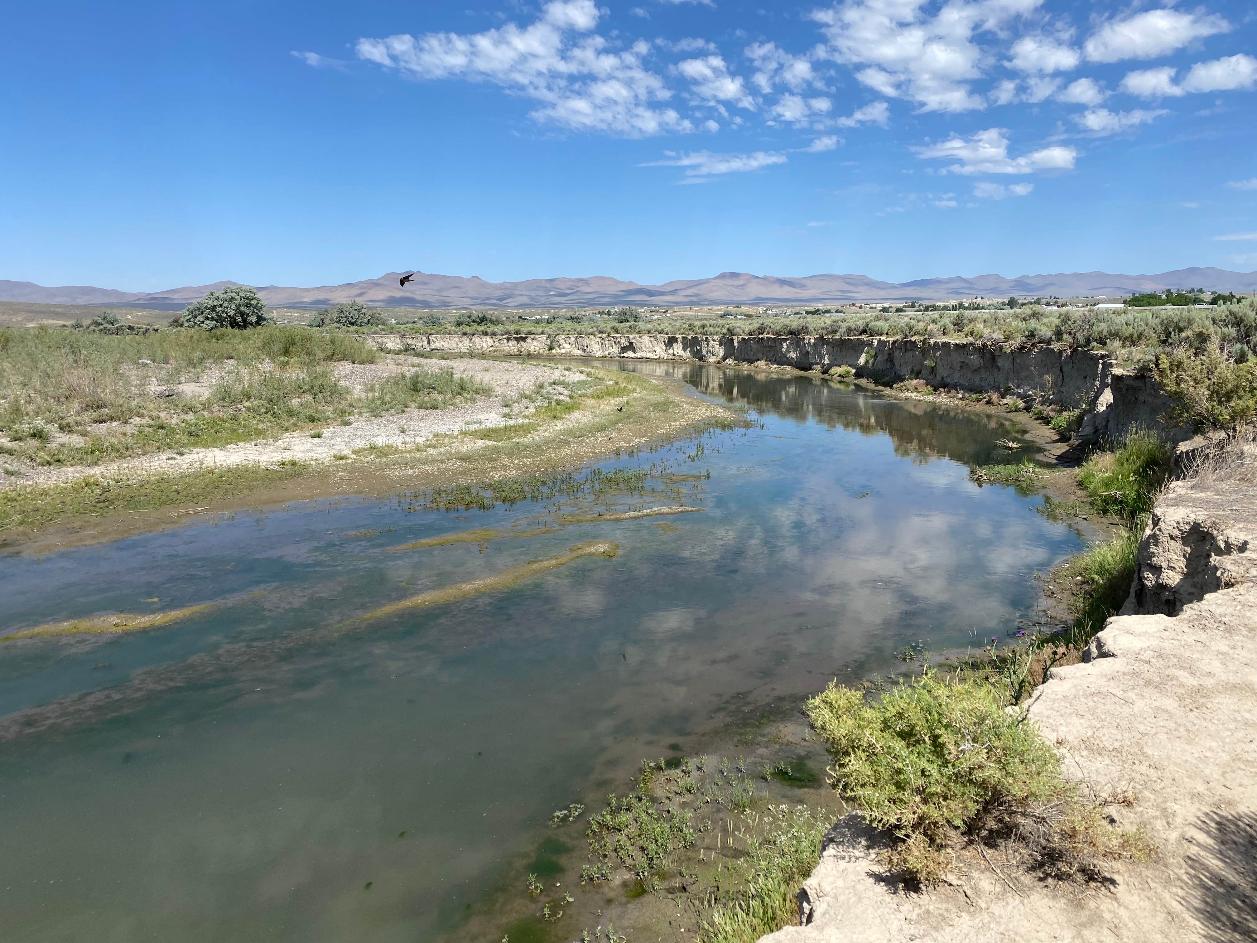 Camper submitted image from Elko RV Park at Ryndon - 1