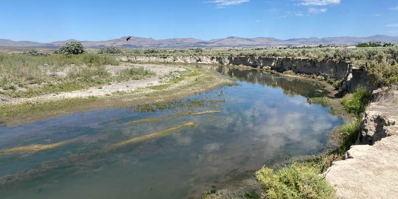 Camper submitted image from Elko RV Park at Ryndon
