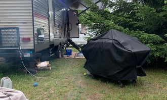 Camping near Hopkins Memorial Park Campground: Kampvilla RV Park & Campground, Arcadia, Michigan