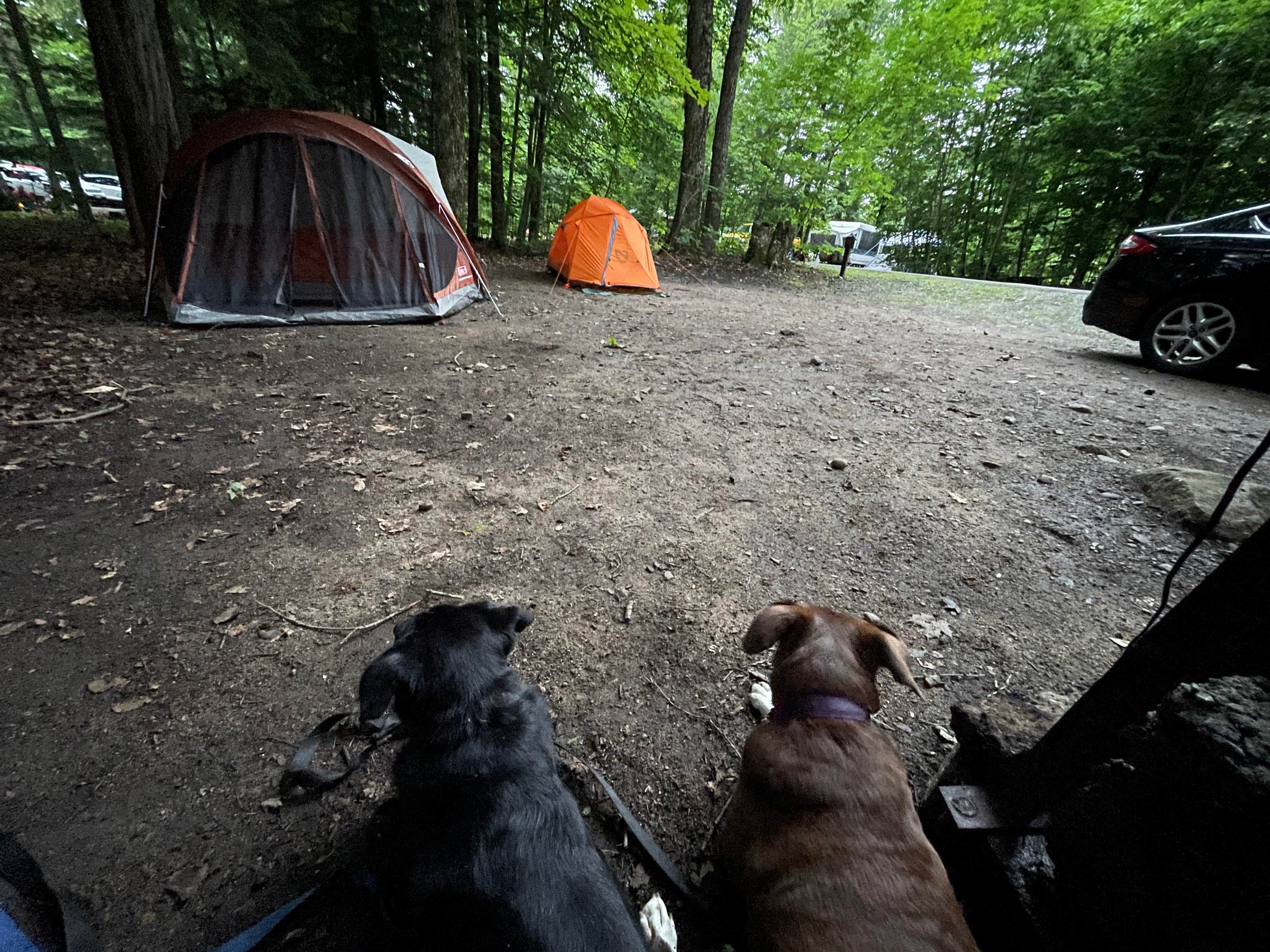 Camper-submitted photo at Caroga Lake Campground near Sprakers, NY