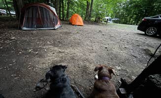 Elyssa R.'s photo at Caroga Lake Campground near St. Johnsville, NY