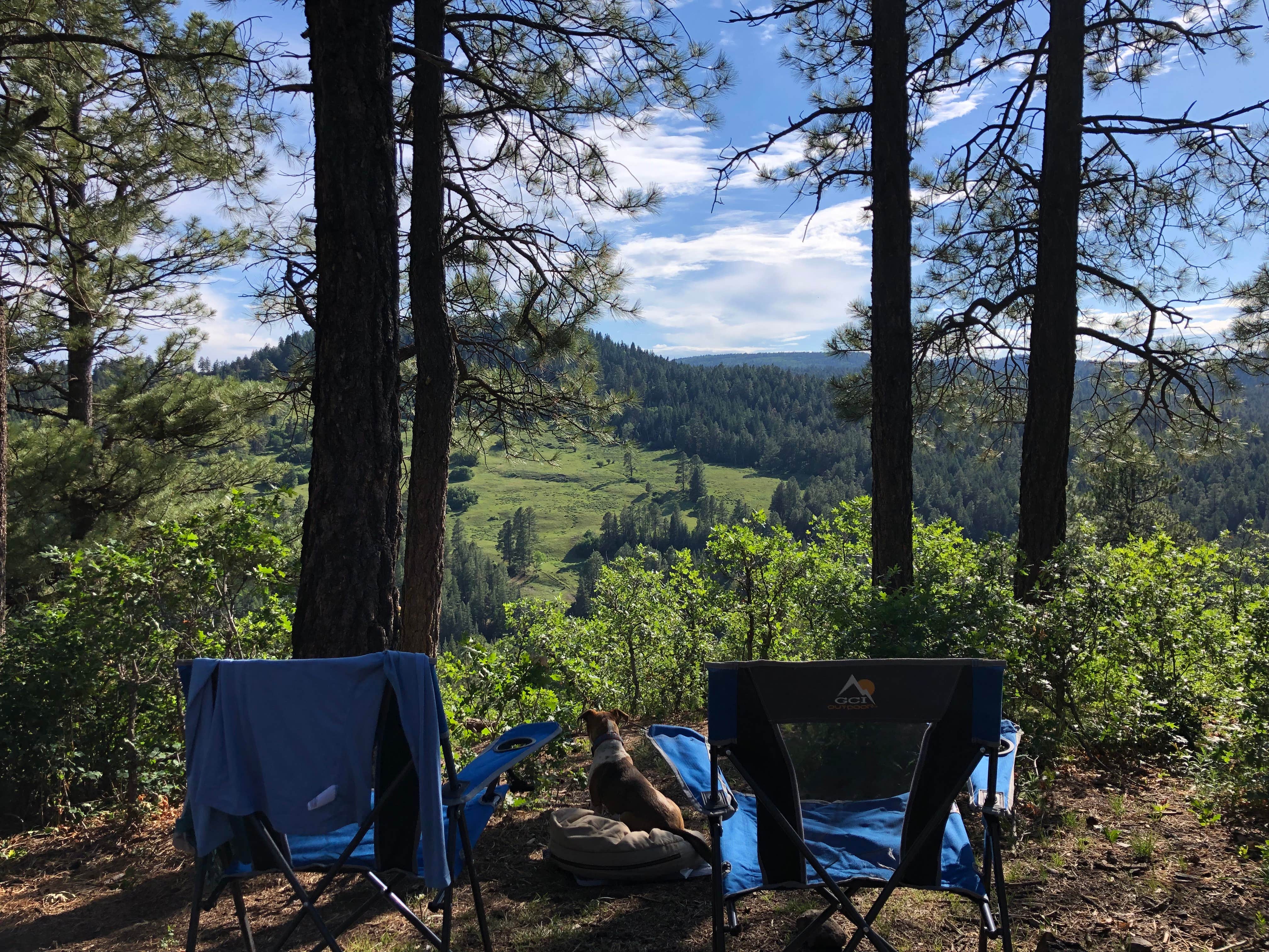 Cait F.'s photo at Turkey Creek Road near Pagosa Springs, CO