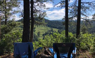 Cait F.'s photo of tent camping at Turkey Creek Road near Pagosa Springs, CO