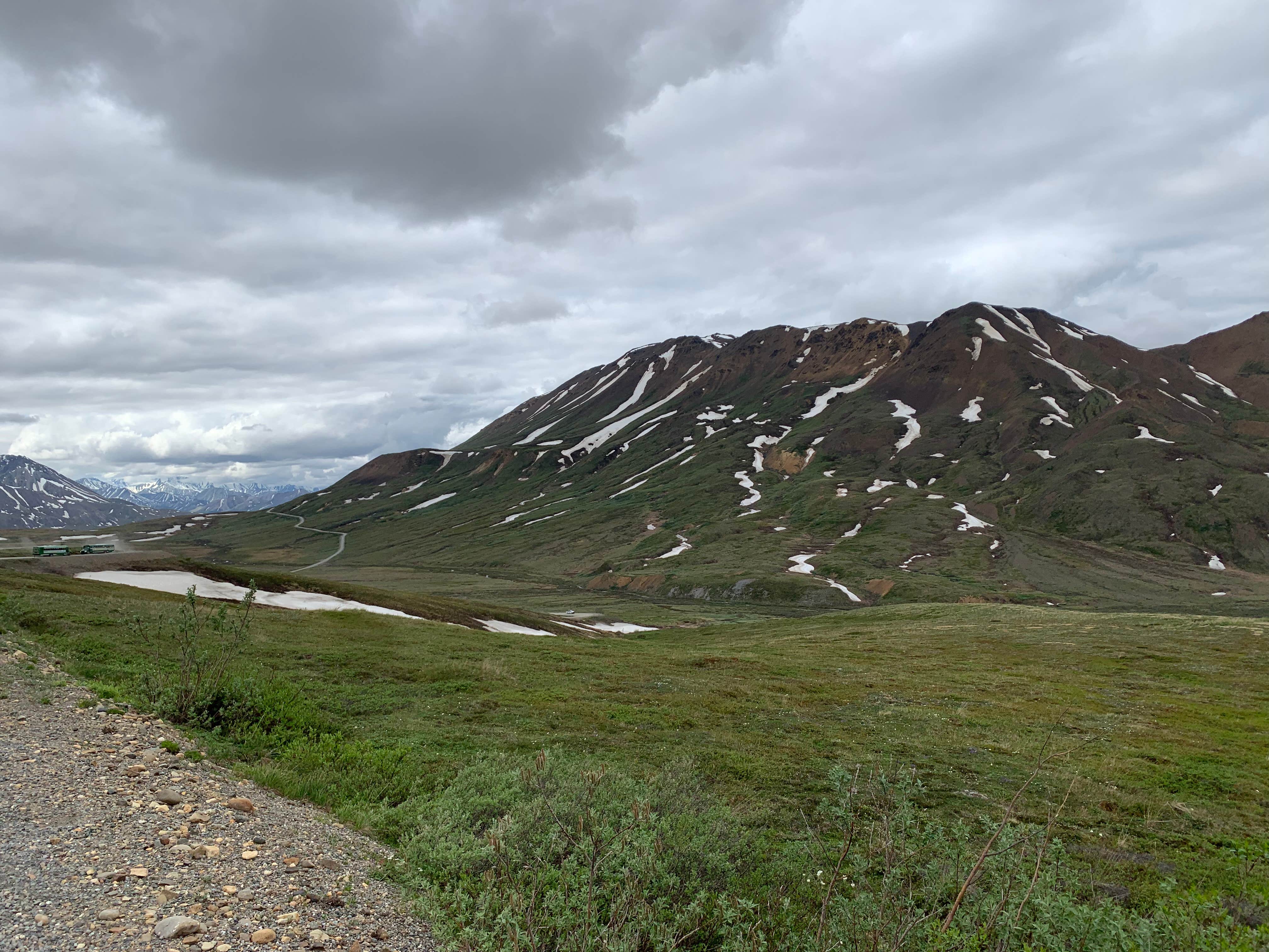 Camper submitted image from Denali National Park Igloo Creek Campground - 1