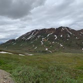 Review photo of Igloo Creek Campground — Denali National Park by Trevor H., July 8, 2021