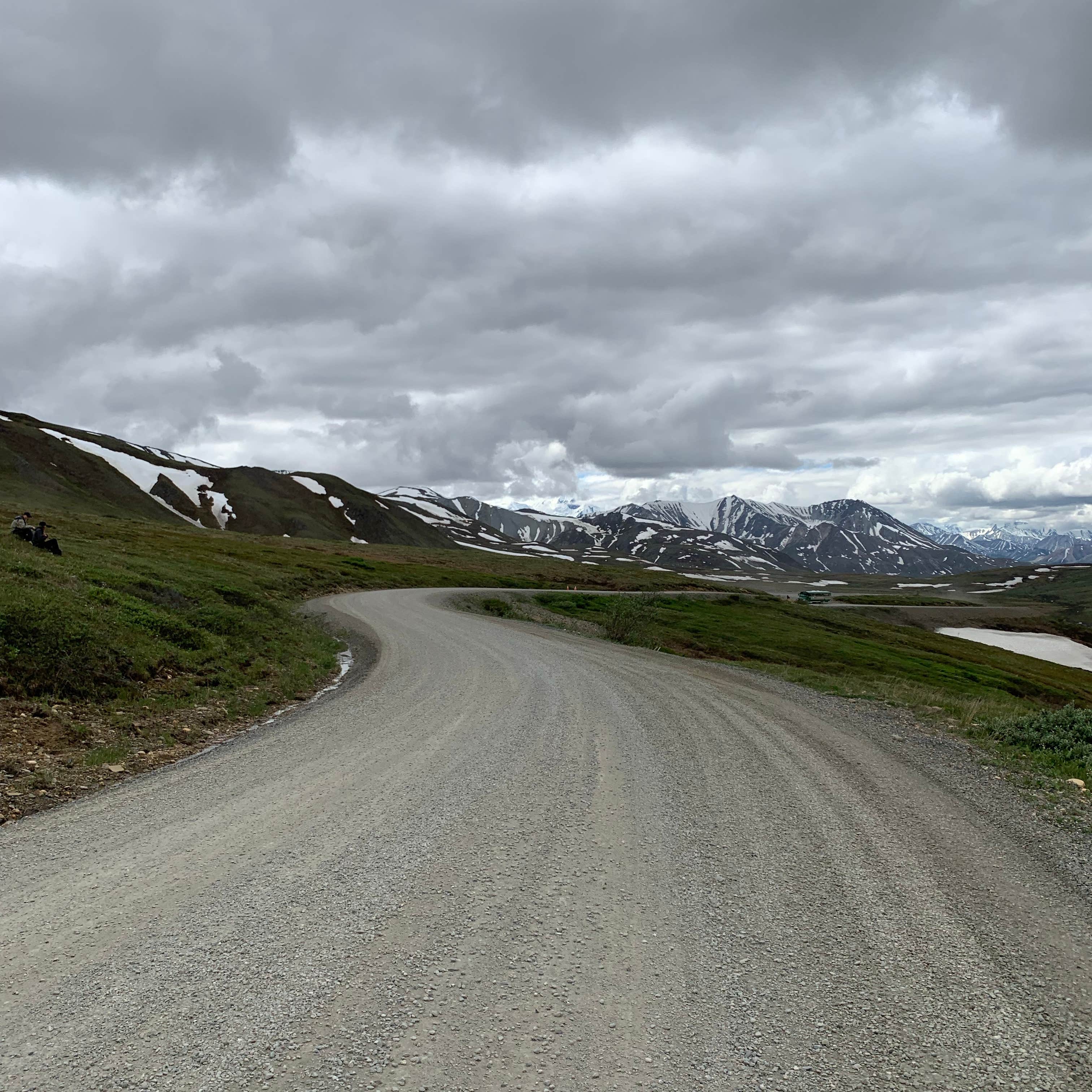 Escape to Wilderness: Igloo Creek Campground, Your Gateway to Denali's Majesty