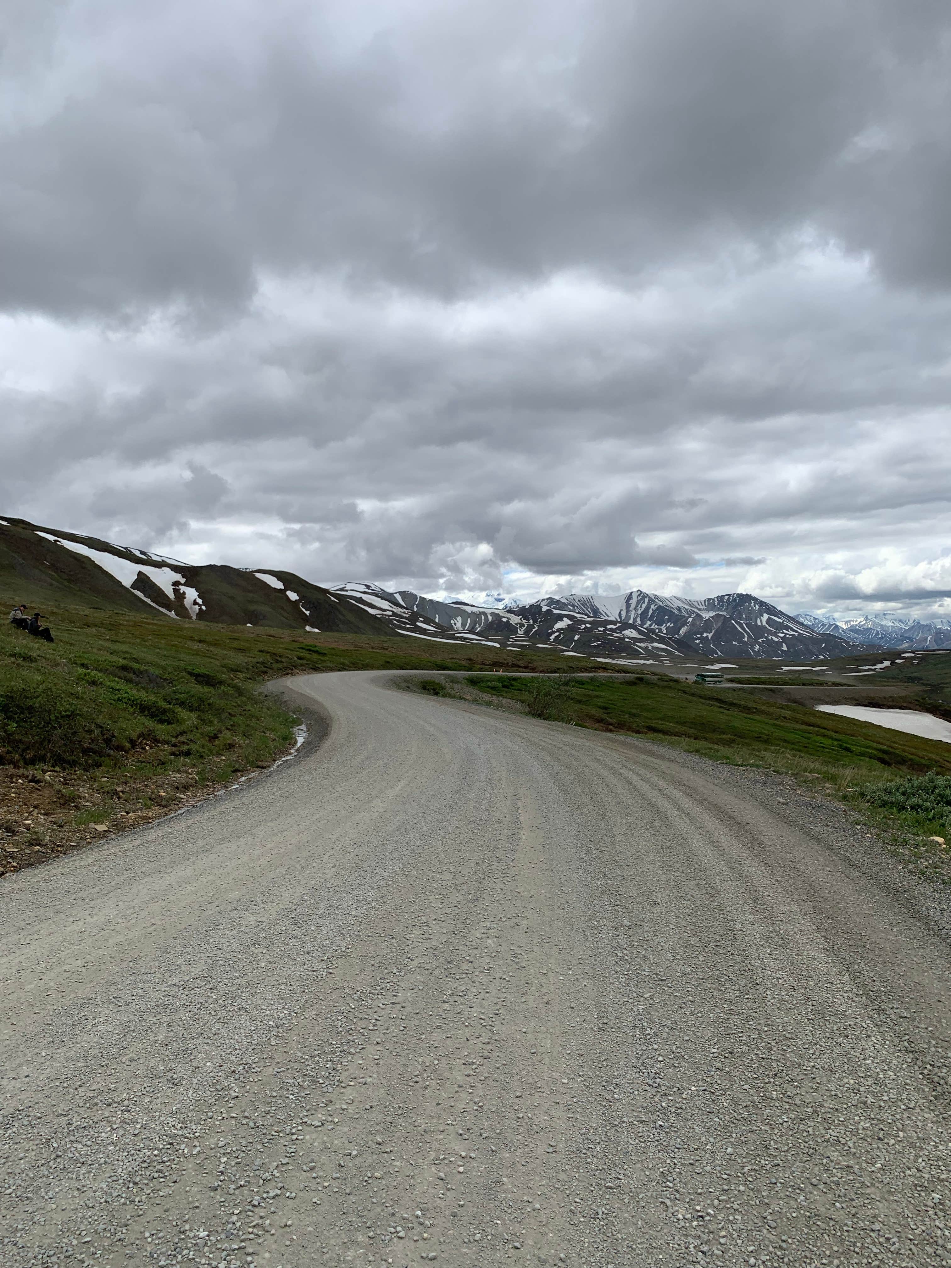 Camper submitted image from Denali National Park Igloo Creek Campground - 2