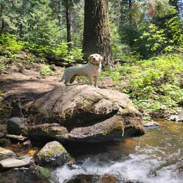 Spring Creek Campground