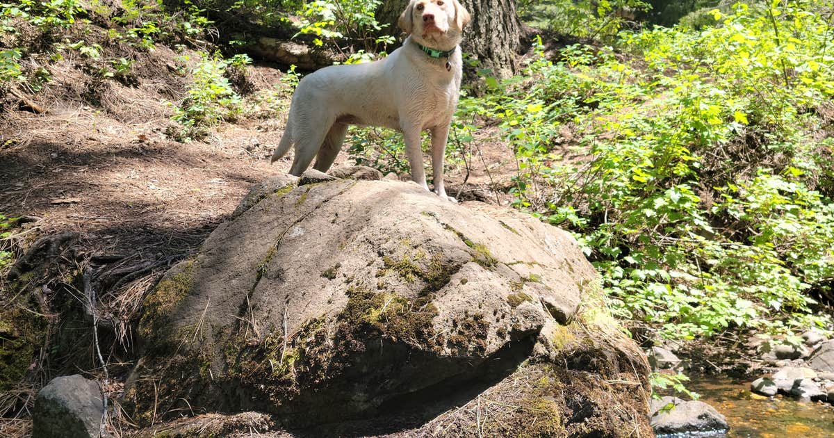 Spring Creek Campground