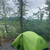 Review photo of Exit Glacier Campground — Kenai Fjords National Park by Trevor H., July 8, 2021