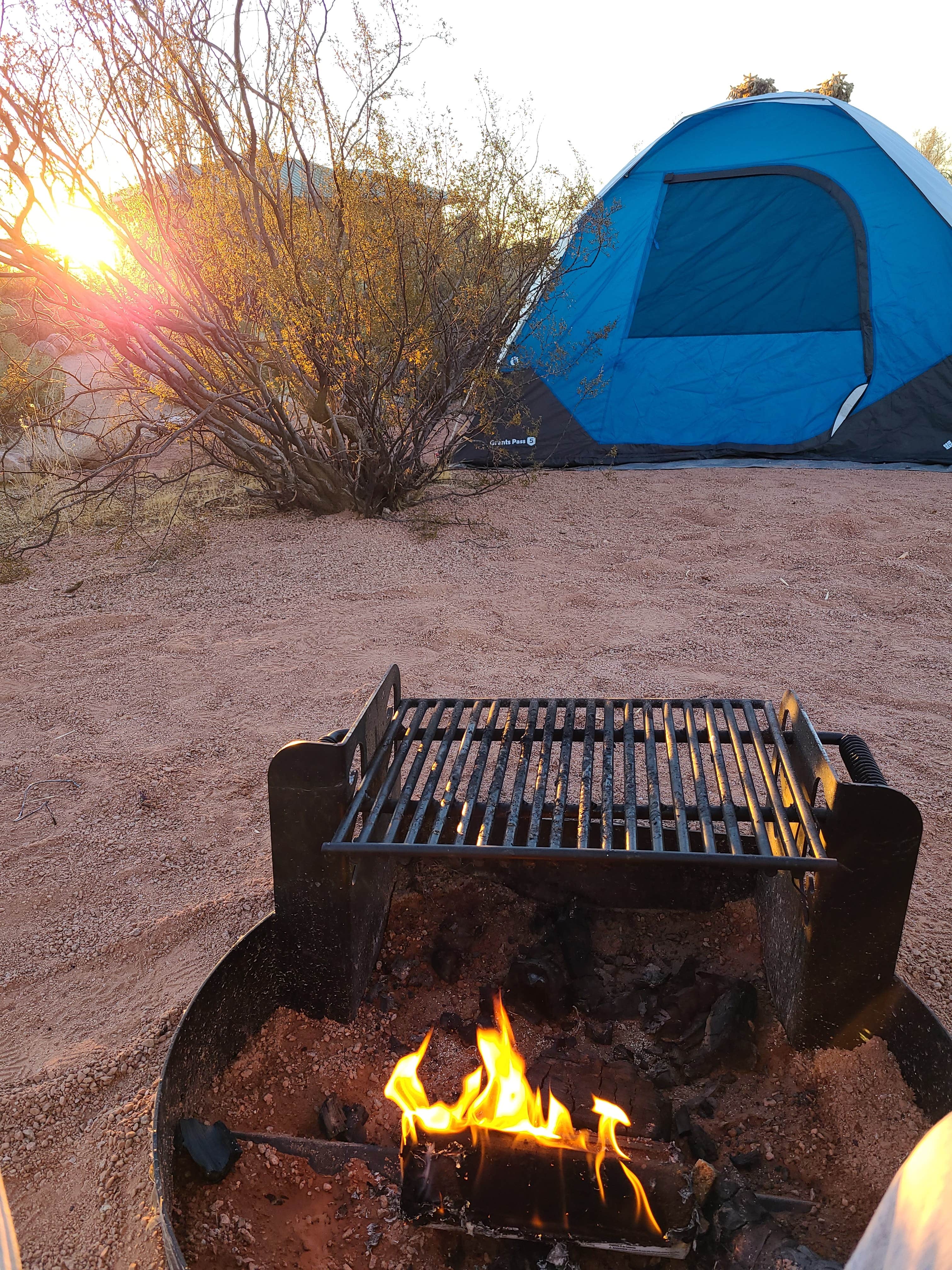 Aeddan D.'s photo at Usery Mountain Regional Park near Scottsdale, AZ