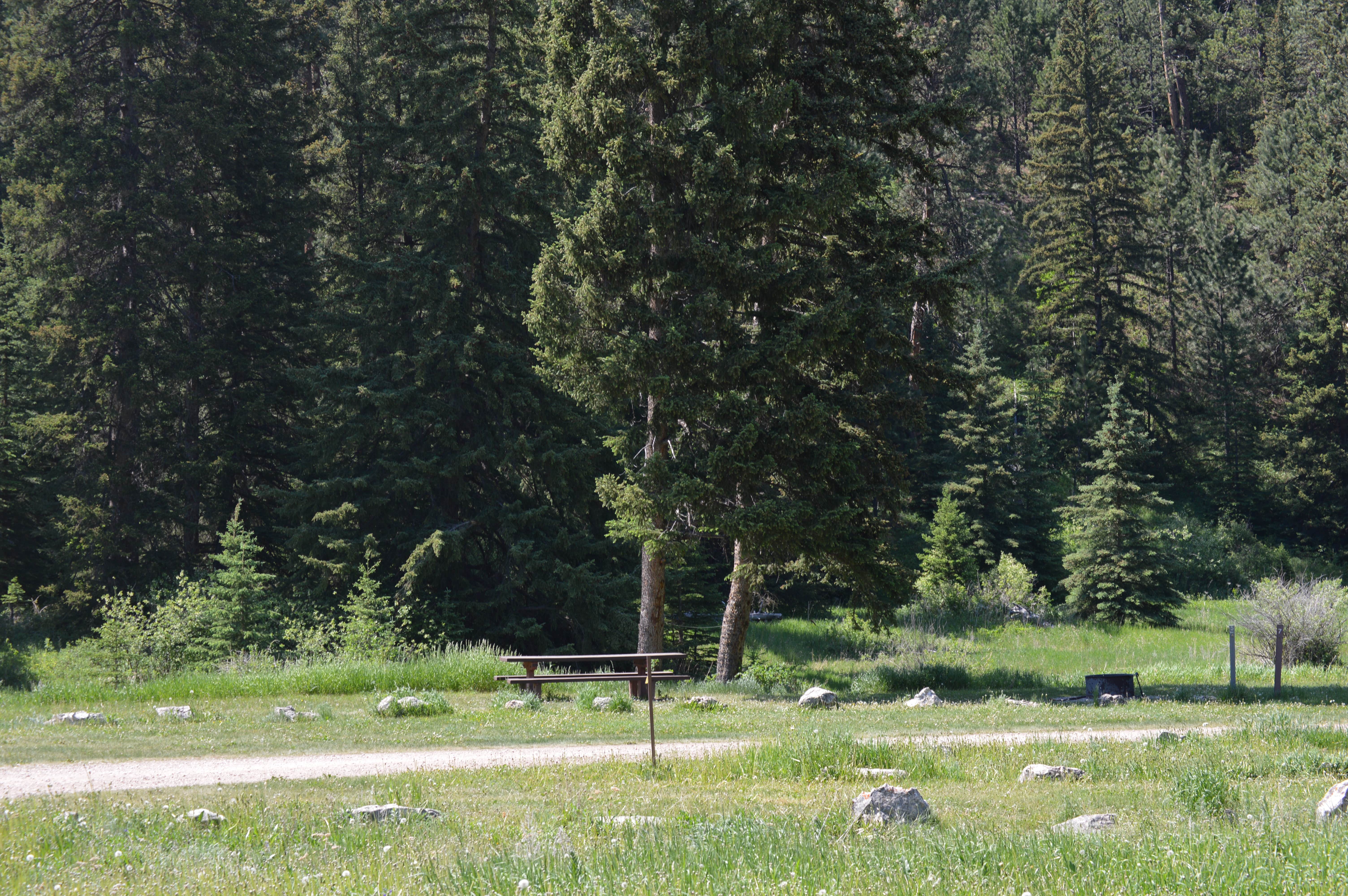 Camper-submitted photo at Beaver Creek near Newcastle, WY