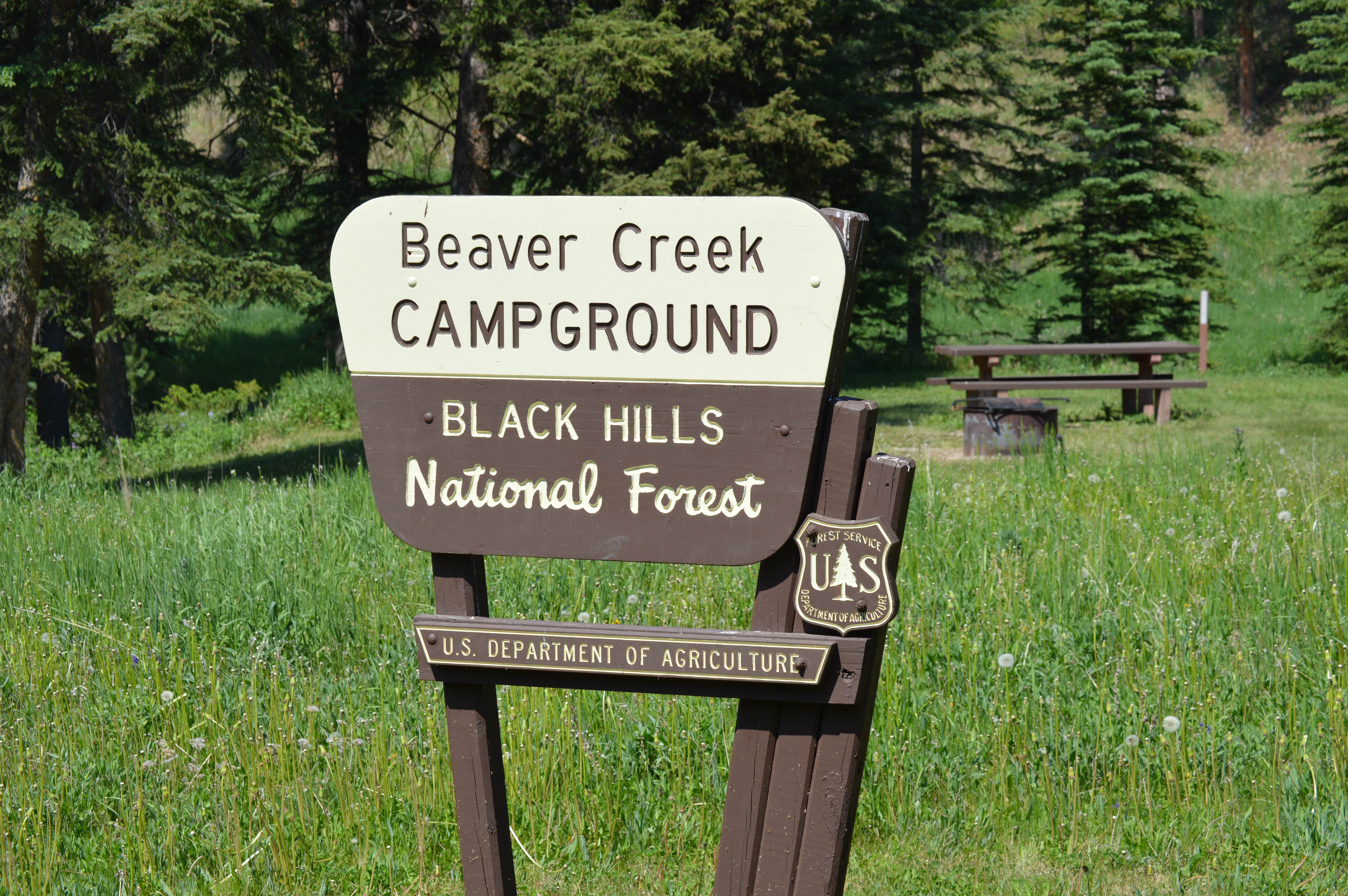 Camper submitted image from Beaver Creek - 3