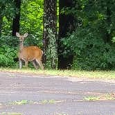 Review photo of Duckett Mill by Lorilee S., July 8, 2021