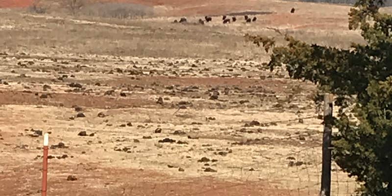 Camper submitted image from Foss State Park Campground