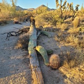 Review photo of Usery Mountain Regional Park by Aeddan D., July 8, 2021