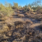 Review photo of Usery Mountain Regional Park by Aeddan D., July 8, 2021