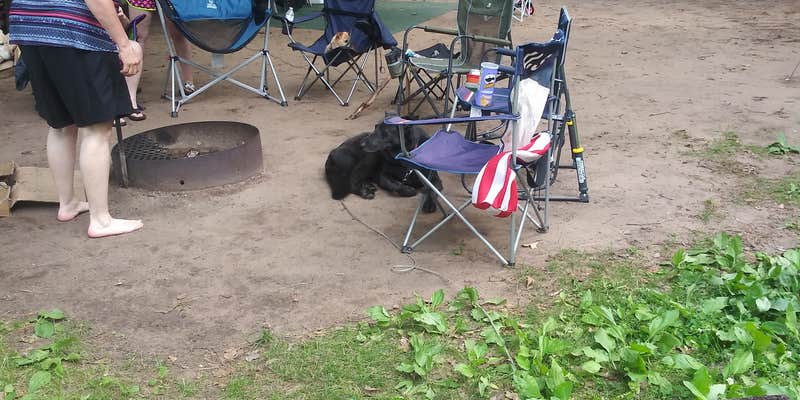 Camper submitted image from Carrol Lake — Northern Highland State Forest