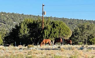 Ben G.'s photo of camping with a horse at Bluewater Lake State Park Campground in New Mexico