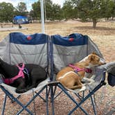 Review photo of Bluewater Lake State Park Campground by Ben G., July 1, 2021