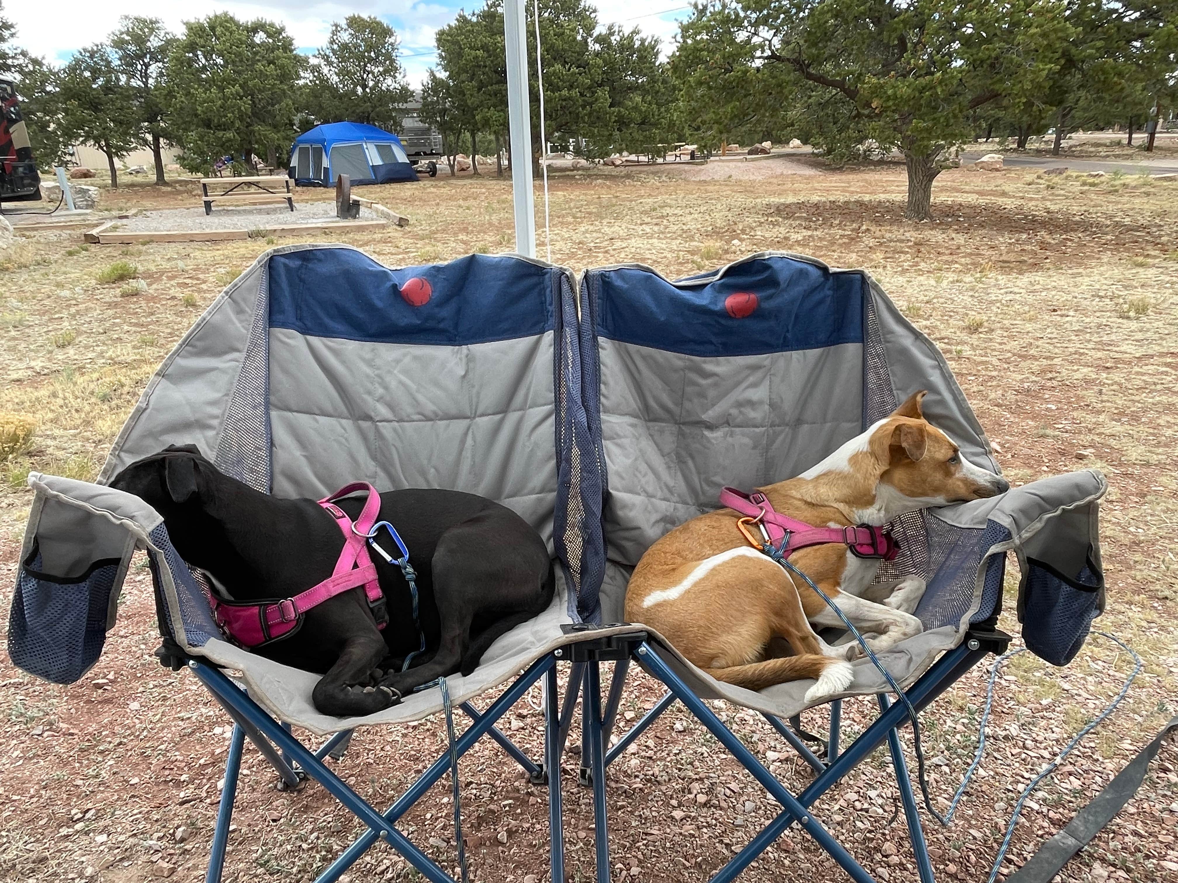 Camper submitted image from Bluewater Lake State Park Campground - 4