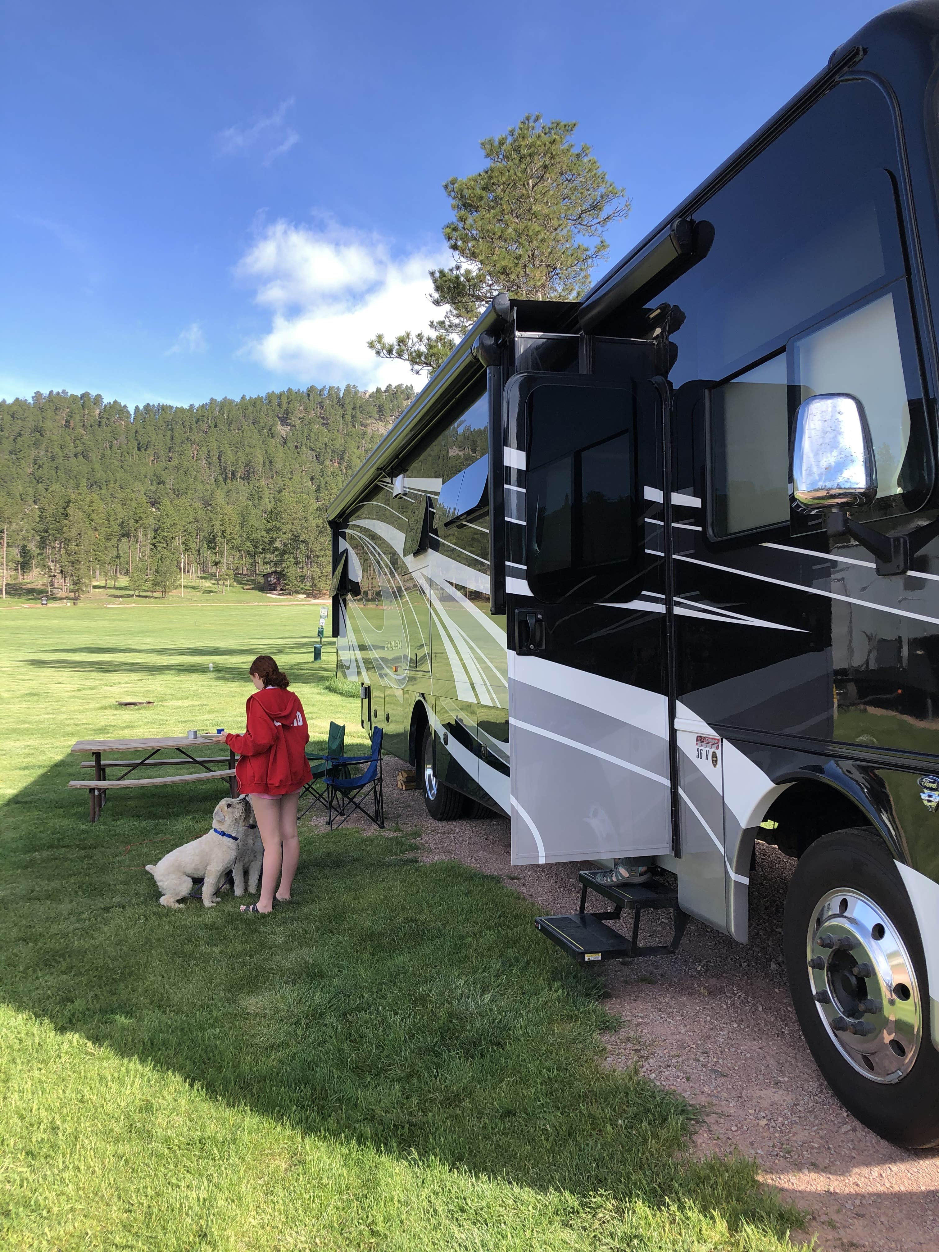 Neil M.'s photo at Mount Rushmore KOA at Palmer Gulch near Hill City, SD