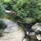 Review photo of West Rim - Cloudland Canyon State Park by Lorilee S., July 8, 2021