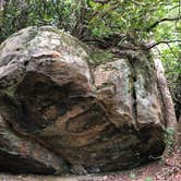 Review photo of West Rim - Cloudland Canyon State Park by Lorilee S., July 8, 2021