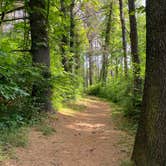 Review photo of Claytor Lake State Park Campground by megan , July 8, 2021